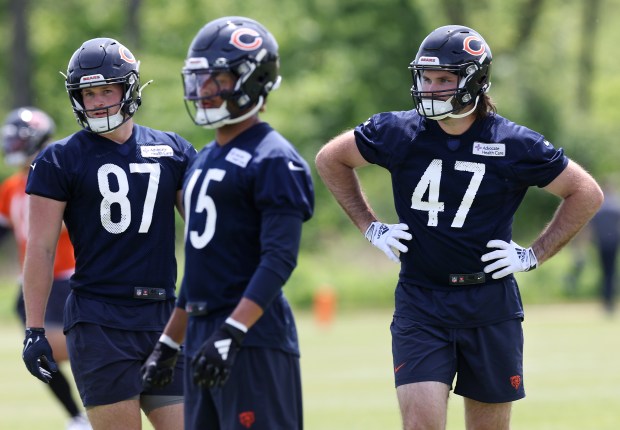 Chicago Bears tight end Brenden Bates (87), wide receiver Rome Odunze (15), and tight end Tommy Sweeney (47) participate in Organized Team Activities at Halas Hall in Lake Forest on Friday, May 31, 2024. (Chris Sweda/Chicago Tribune)