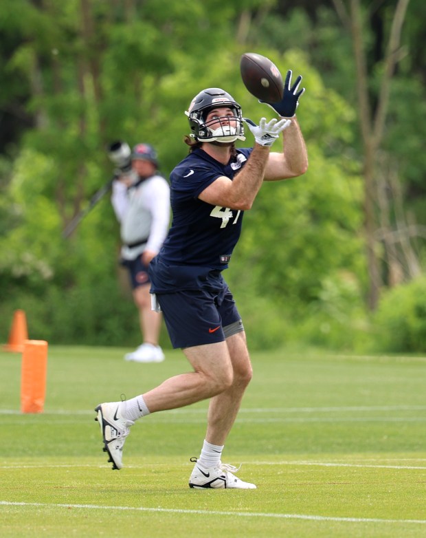 Chicago Bears tight end Tommy Sweeney (47) catches a pass during minicamp at Halas Hall on June 4, 2024, in Lake Forest. (Stacey Wescott/Chicago Tribune)