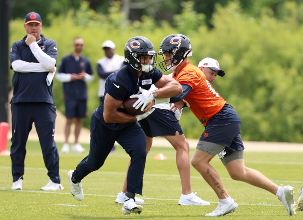 Chicago Bears quarterback Austin Reed (16) hands off to running back Travis Homer (20) during minicamp at Halas Hall on June 4, 2024, in Lake Forest. (Stacey Wescott/Chicago Tribune)