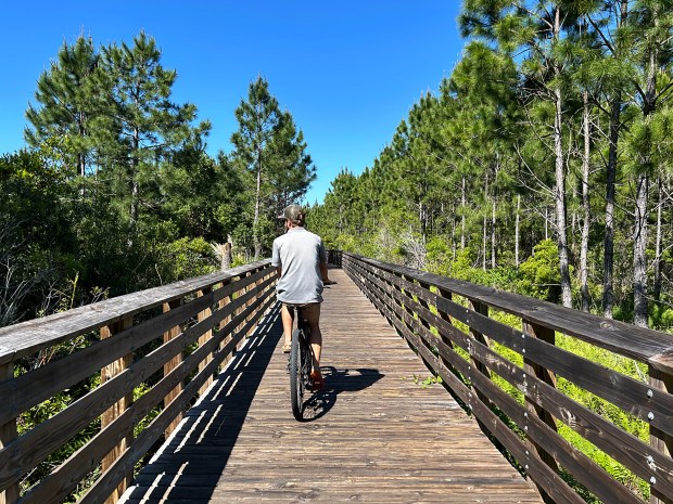 On a bike ride through Gulf State Park, a tour guide led participants past grassy marshes, through ridges and across creeks. (Linze Rice/For the Tribune)