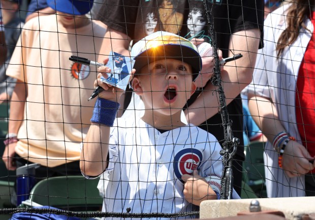 Jackson Tarr, 6, yells toward Cubs shortstop Dansby Swanson for a hopeful autograph before a game against the Braves at Wrigley Field on May 23, 2024.(John J. Kim/Chicago Tribune)