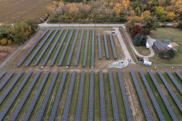 Solar panels are part of the Glenwood Solar Project on Oct. 11, 2022, in Chicago Heights, Illinois. While both solar and wind power are expected to be major players in efforts to reach clean energy supplies, solar panels can also pose a risk to the safety of local wildlife and natural landscape. (Erin Hooley/Chicago Tribune)