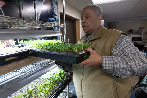 Michael Howard moves a tray of seedlings at Edens Place Farms in Fuller Park on March 18, 2024. On the South Side, farmers at Eden Place Farms have been eagerly awaiting IL-EATS. (Trent Sprague/for the Chicago Tribune)