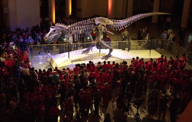 Sue, the most complete Tyrannosaurus Rex ever found, is unveiled at the Field Museum on May 17, 2000. (Phil Velasquez/Chicago Tribune)