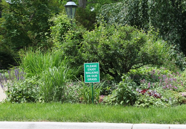 A sign in front of a residence on University Avenue in Highland Park welcomes passersby to walk on the grass instead of the street. (Credit: Chloe Hilles/Lake County News-Sun)